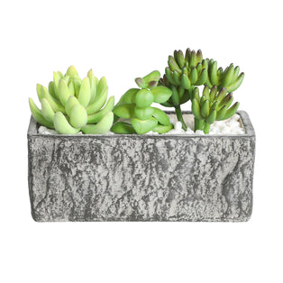 Large Artificial Succulent