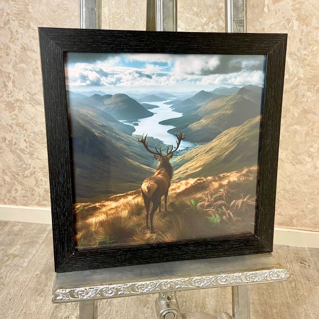 Stag on Hill Wall Art with Black Frame