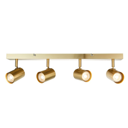 Hereford 4 Light Satin Gold Spotlight Bar