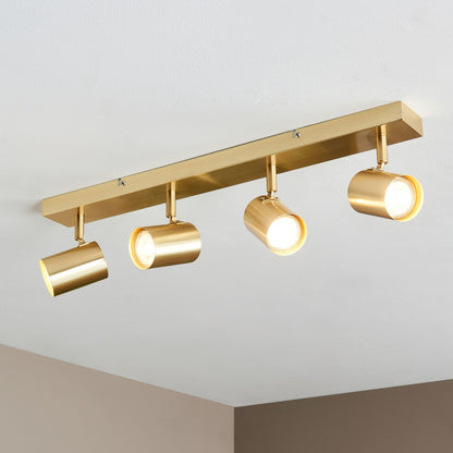 Hereford 4 Light Satin Gold Spotlight Bar