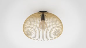 Venezuela Gold Flush Ceiling Light